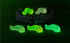 Glow in the Dark Caterpillar Resin Charms | Luminous Flatback Cabochons for DIY Crafts (15x36mm)