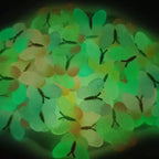 Glow in the Dark Butterfly Resin Charms | Colorful Craft Cabochons
